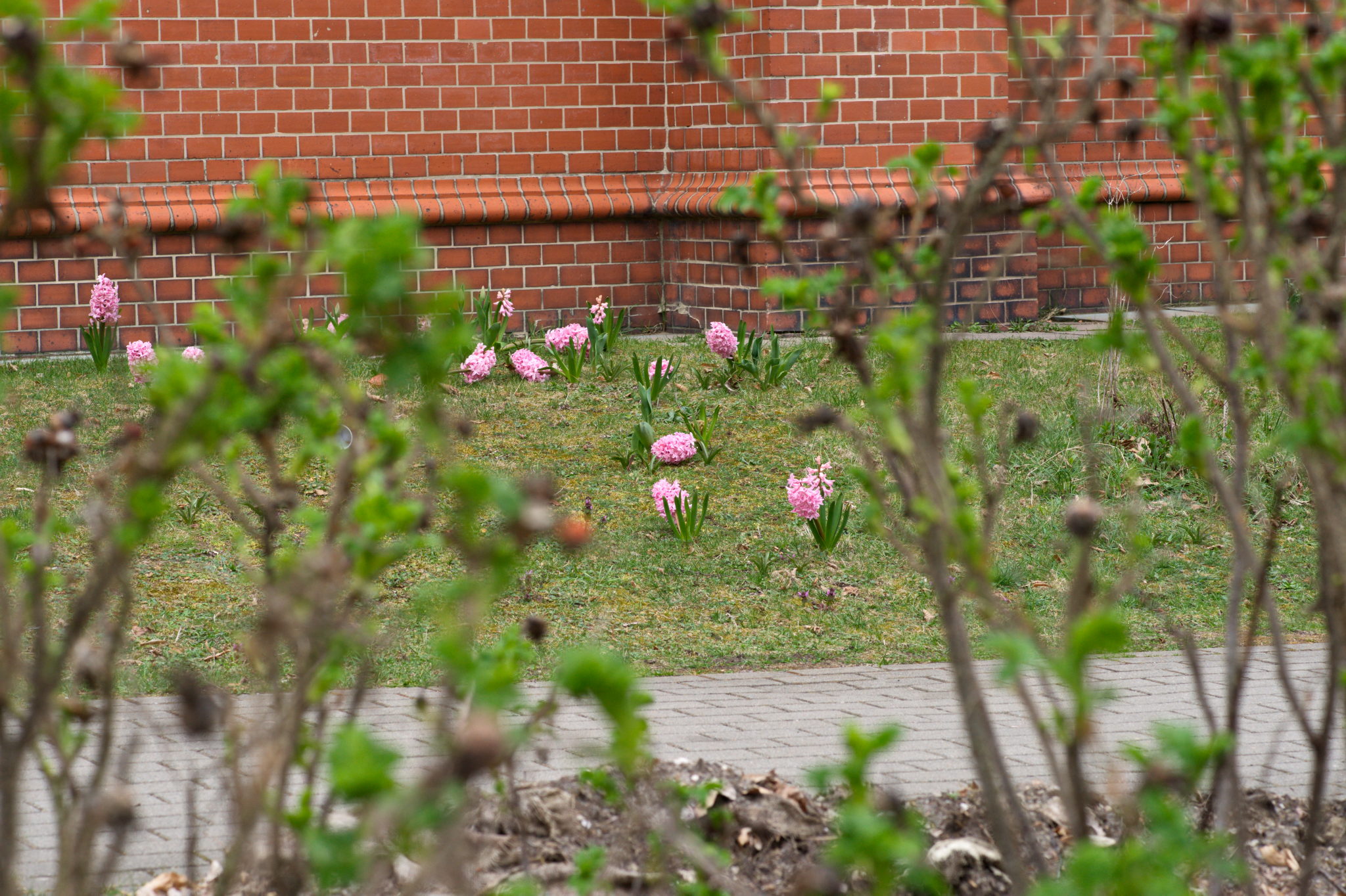 20210402  Gruen(t)raumHeimfeld 002